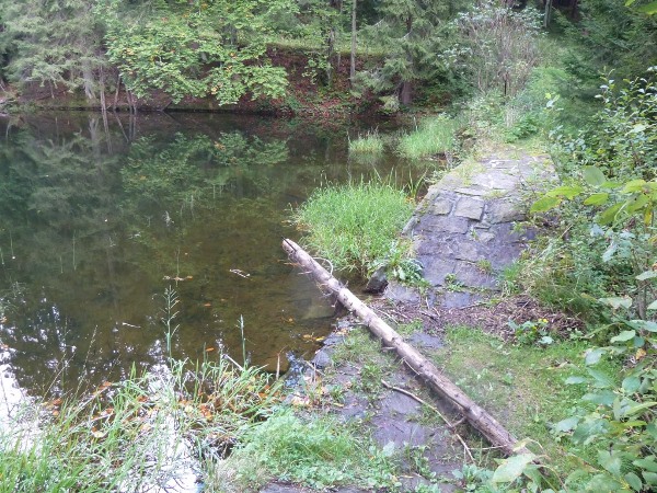 tzv. klauz na Černé Ostravici (sloužil pro "plavení" dřeva na pilu)